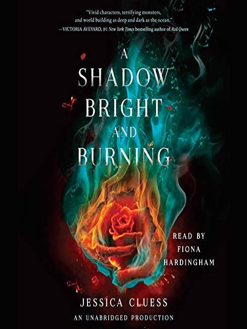 A Shadow Bright and Burning Review